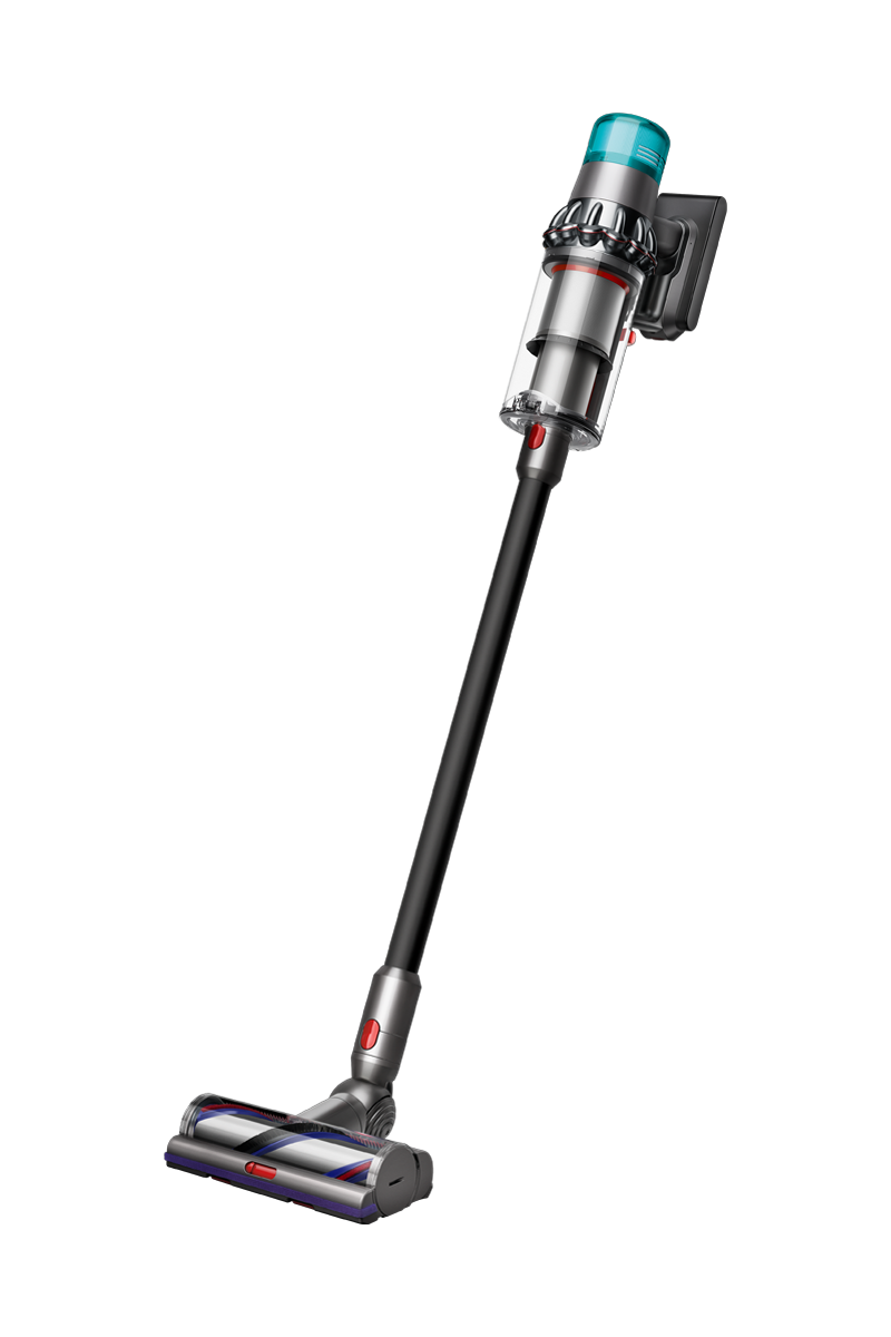 Dyson V15 Detect +