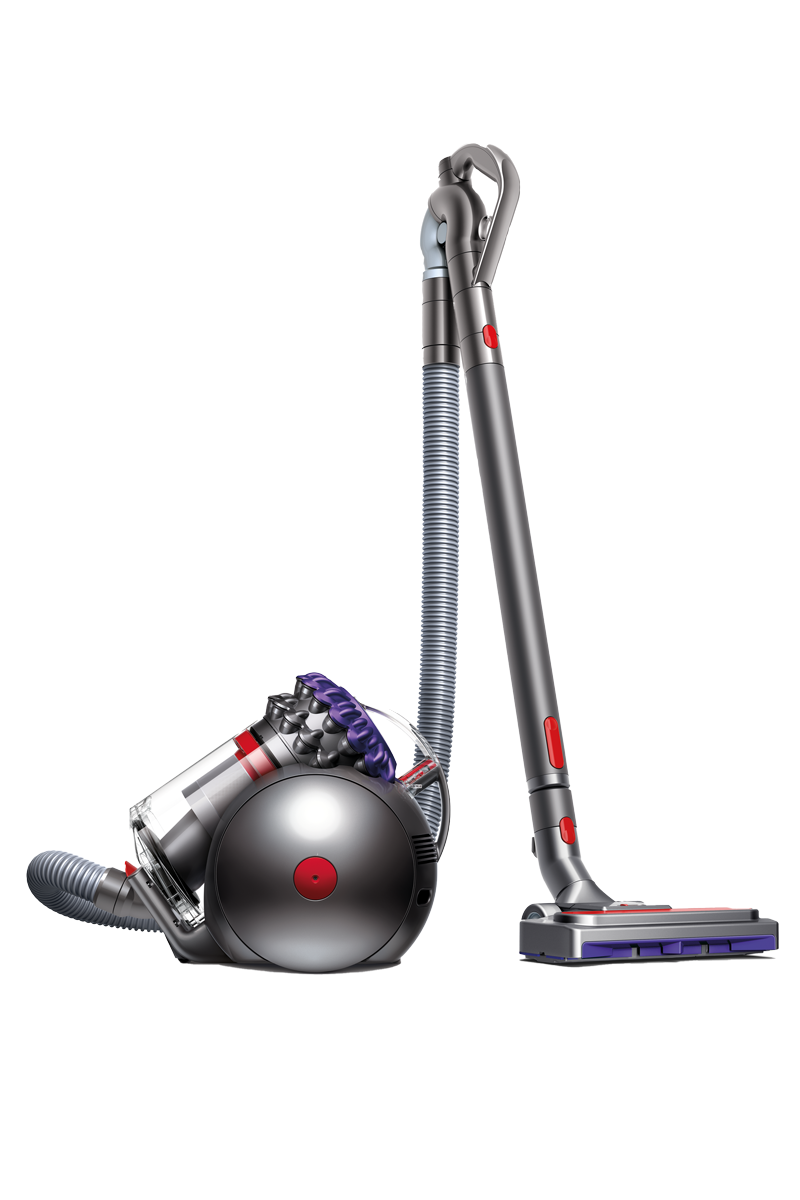 Dyson Big Ball Animal 2