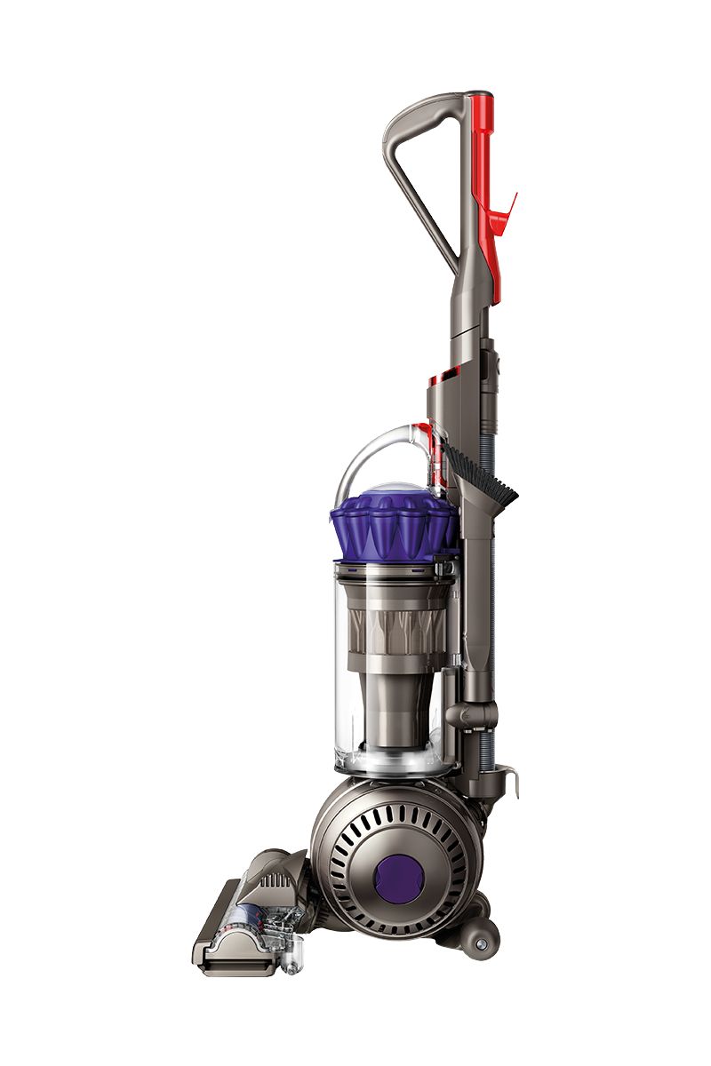 Dyson DC65 Animal Exclusive vacuum