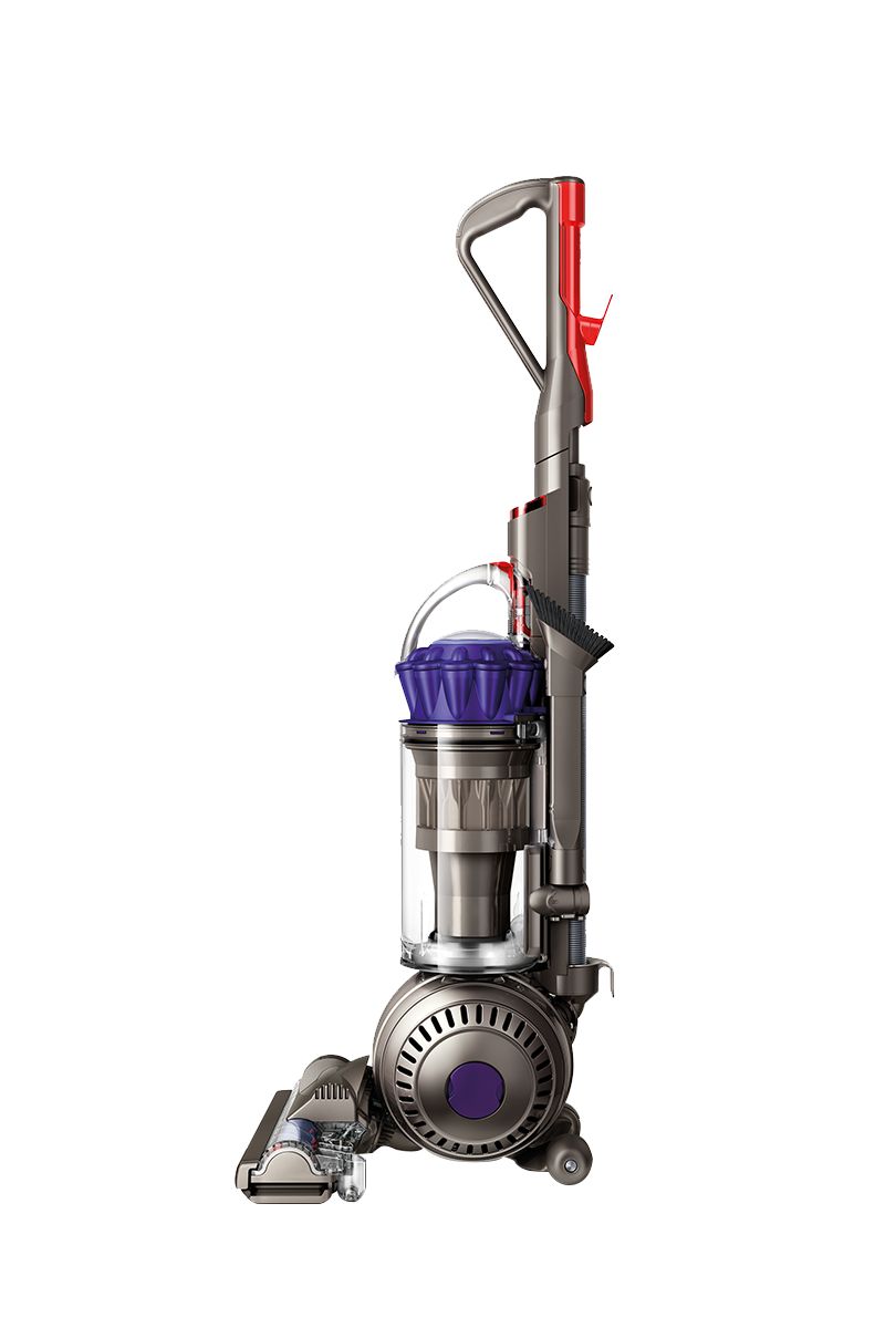 Dyson DC65 Animal Plus vacuum