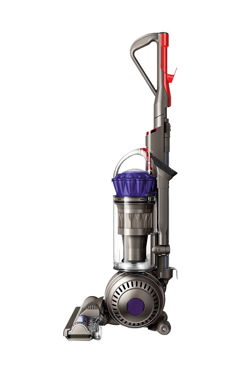 Dyson DC66 Animal