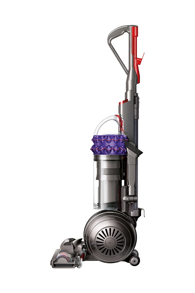 Dyson Cinetic Big Ball Animal Exclusive