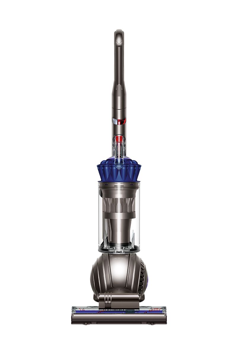 Dyson Ball Allergy Exclusive
