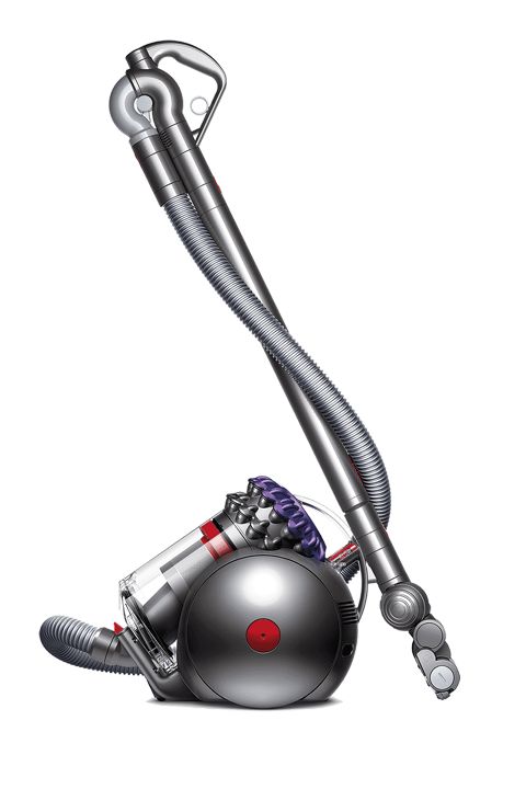 Dyson Big Ball Animal vacuum