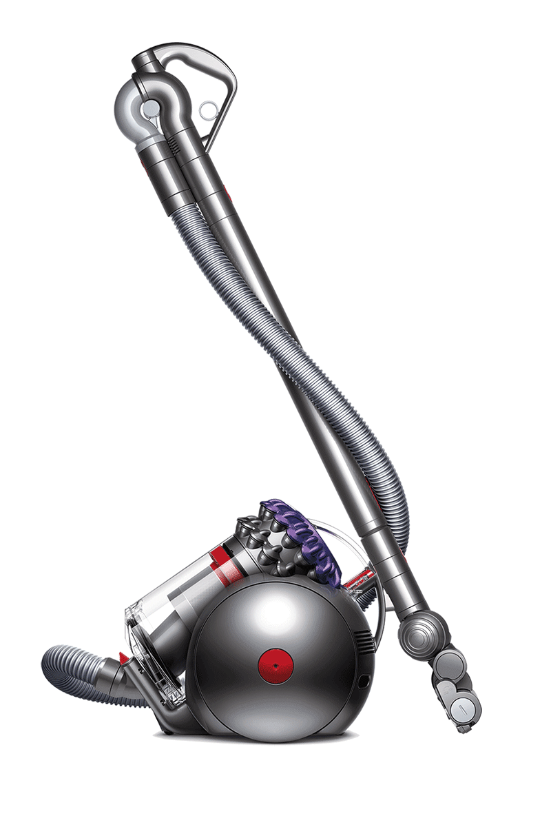 CY23 Animal UK Ir/SPu/Ir