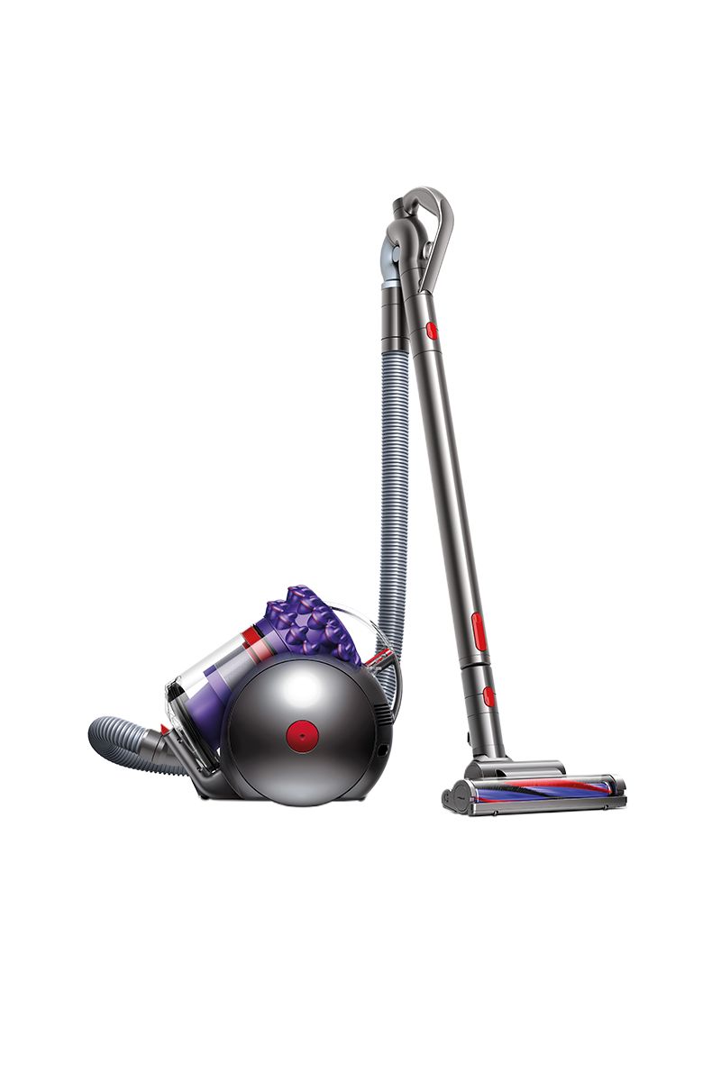 Dyson Cinetic Big Ball Animal +™
