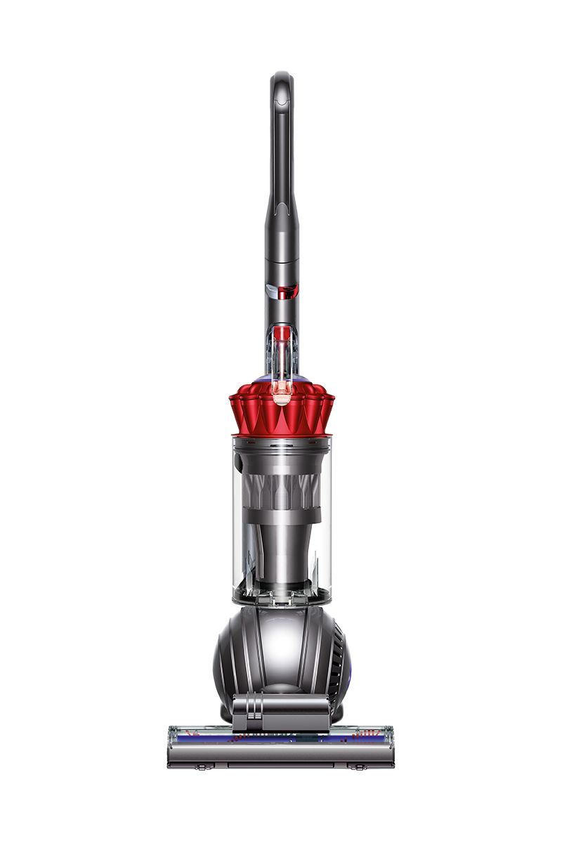 Dyson Ball Animal vacuum