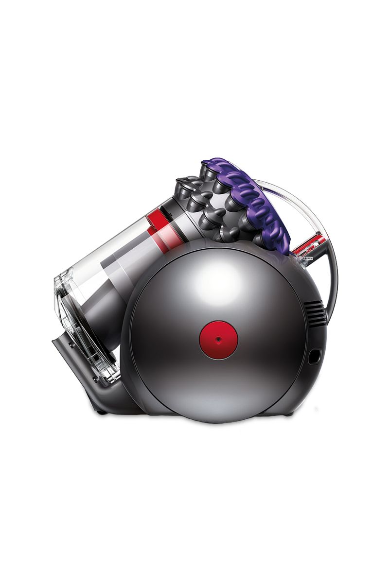 dyson animal 2 big ball