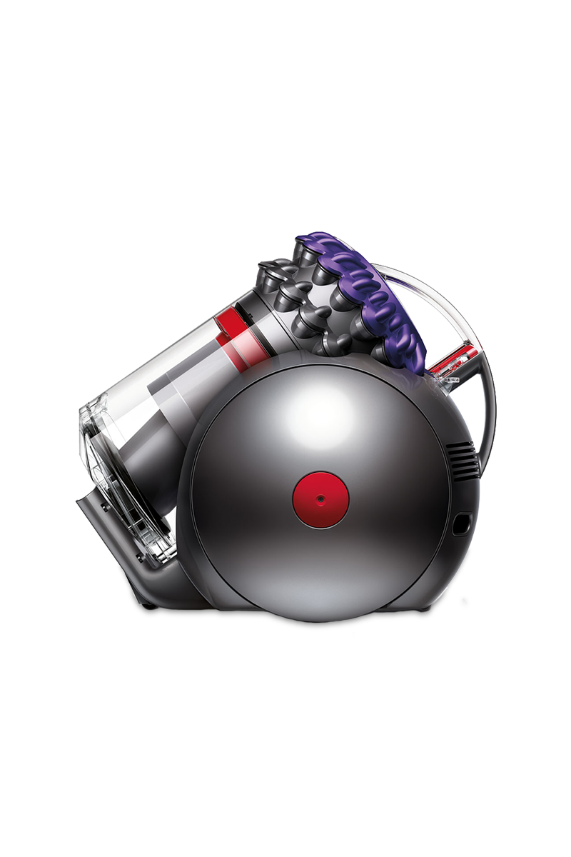 Dyson Big Ball Animal 2 Vacuum Dyson Big Ball Animal 2 Vacuum