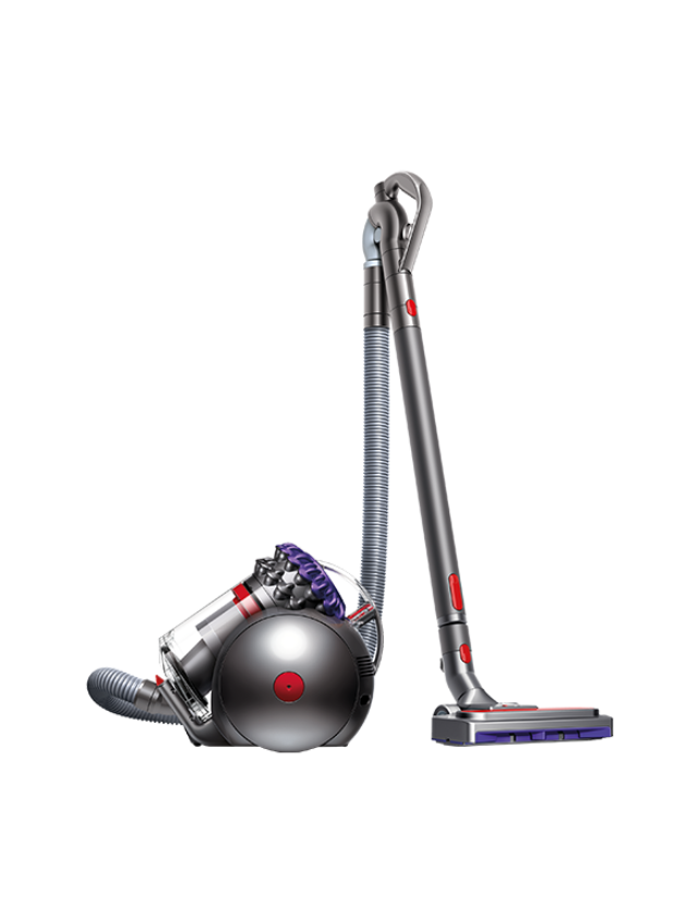 Aspirateurs traîneaux Big Ball™ Avis Dyson BE