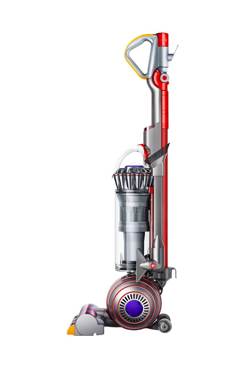 Dyson Ball Animal 2 + vacuum
