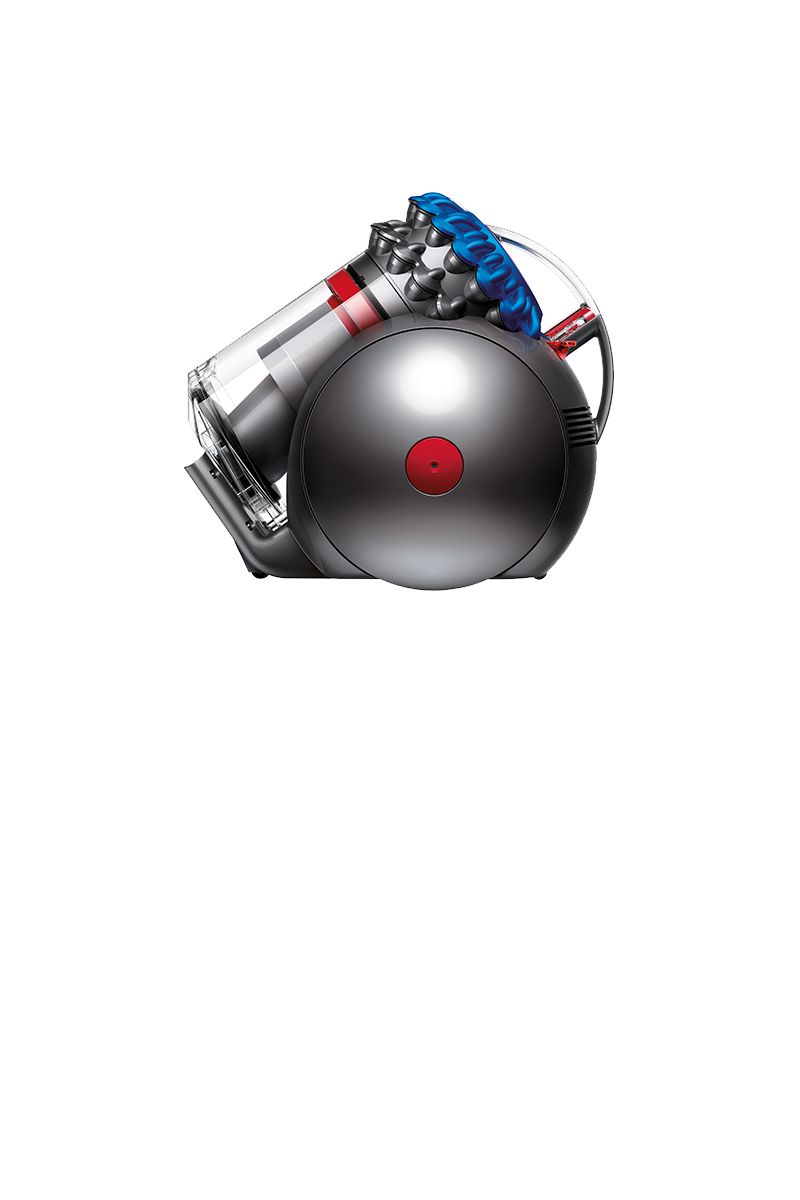 Dyson Big Ball Animal vacuum