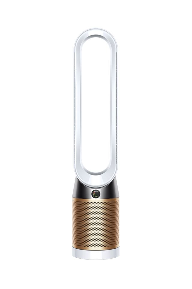 Support | Dyson Pure Cool Cryptomic™ TP06 purifying fan | Dyson