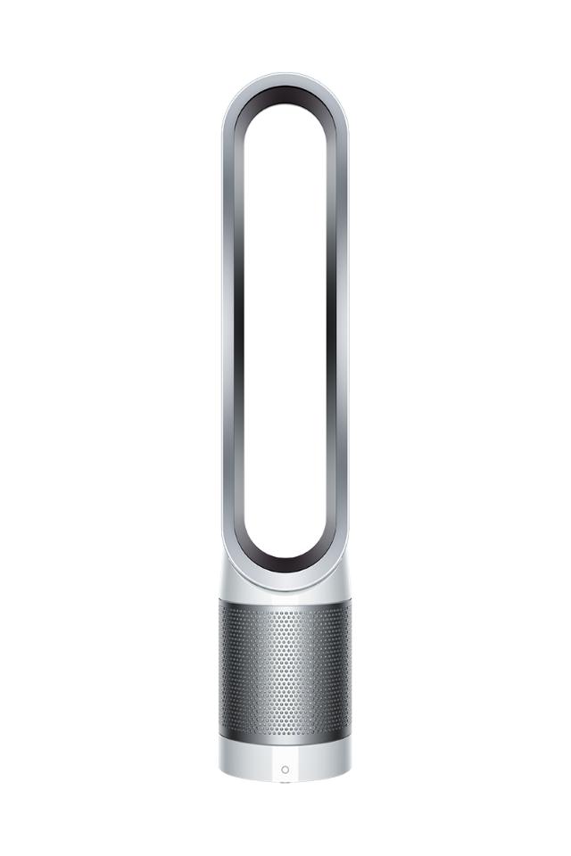Dyson Pure Cool Link™ TP02 purifying fan (White/Silver)
