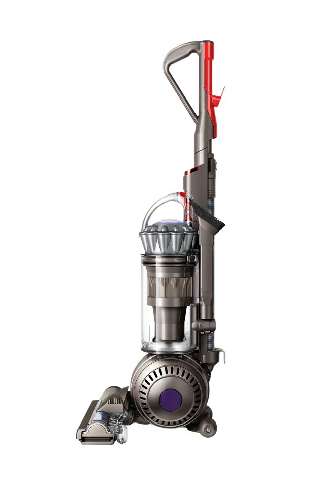 mund pave morfin Dyson Ball Animal 2 pet vacuum cleaner (Iron) | Dyson