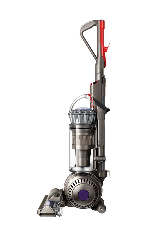 endnu engang forhøjet uendelig Dyson Ball Animal 2 pet vacuum cleaner (Iron) | Dyson