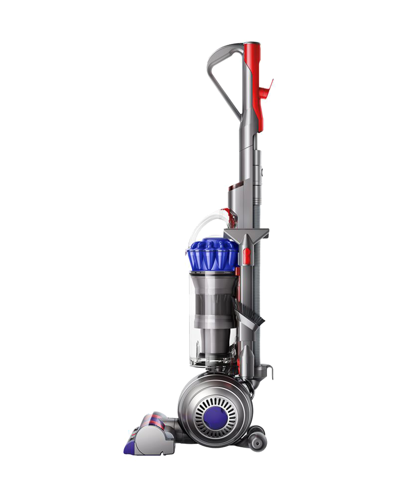 Dyson Small Ball Allergy