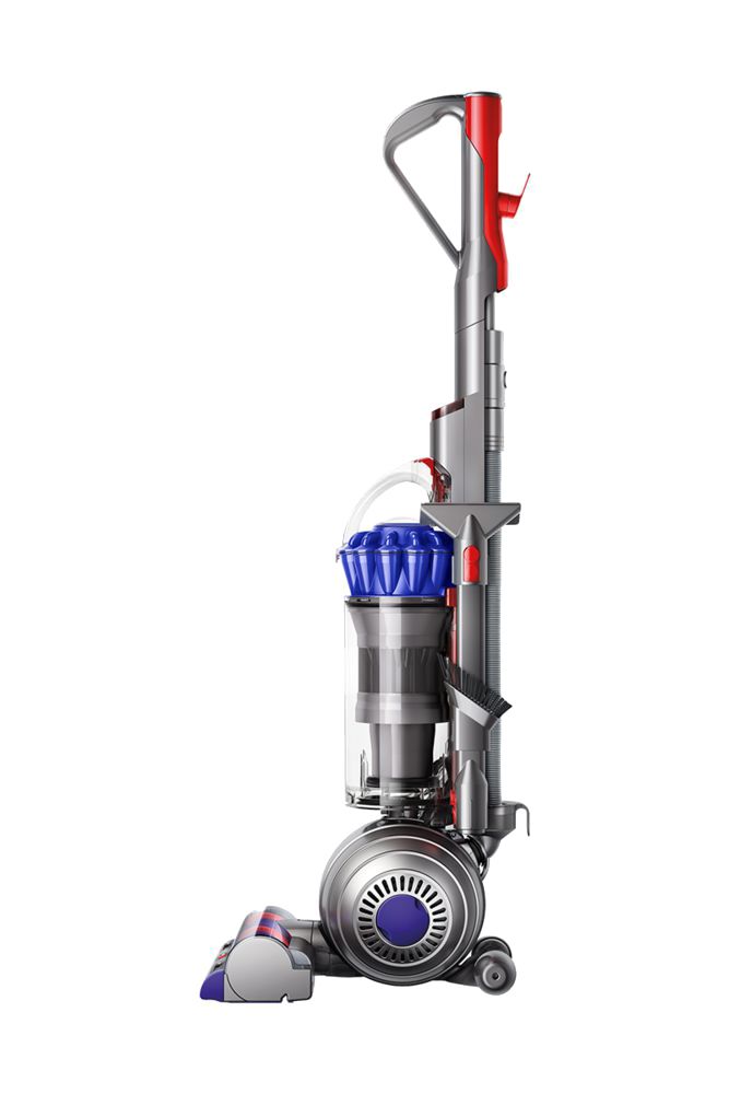 שואב אבק חובט Dyson Small Ball Allergy