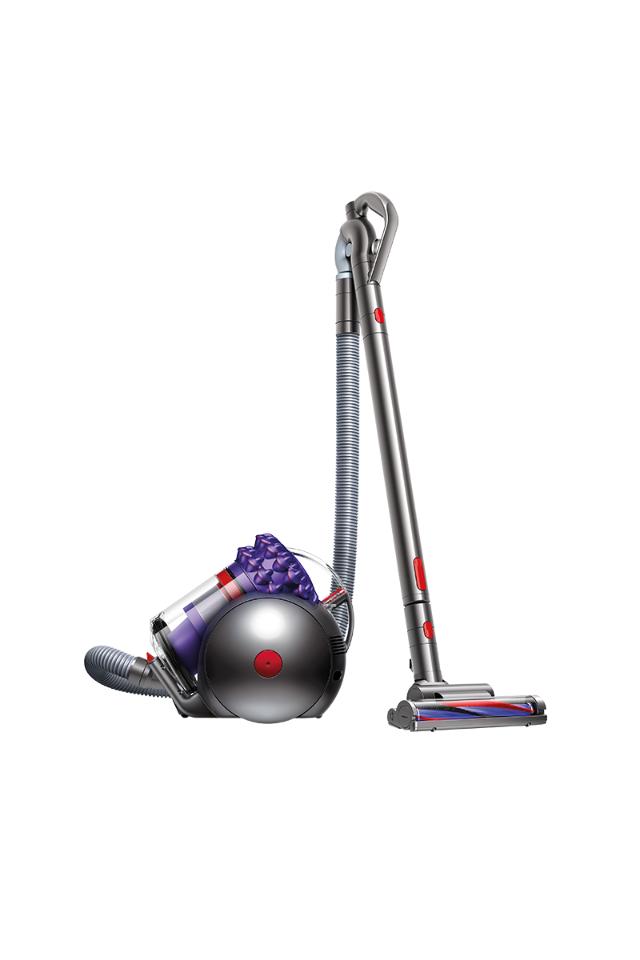 Cinetic Big Ball Animal Pro canister vacuum | Dyson Canada