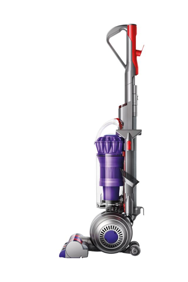 Dyson Small Ball Animal 2