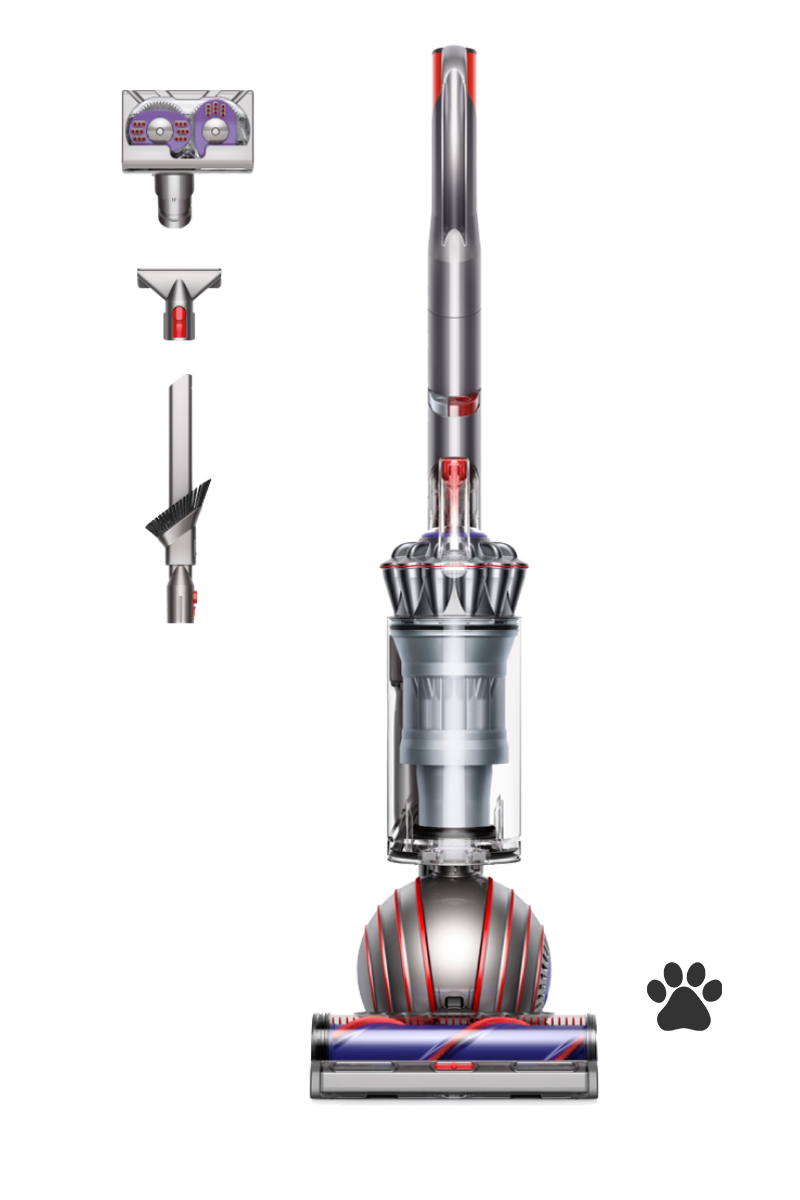 Dyson Ball Animal