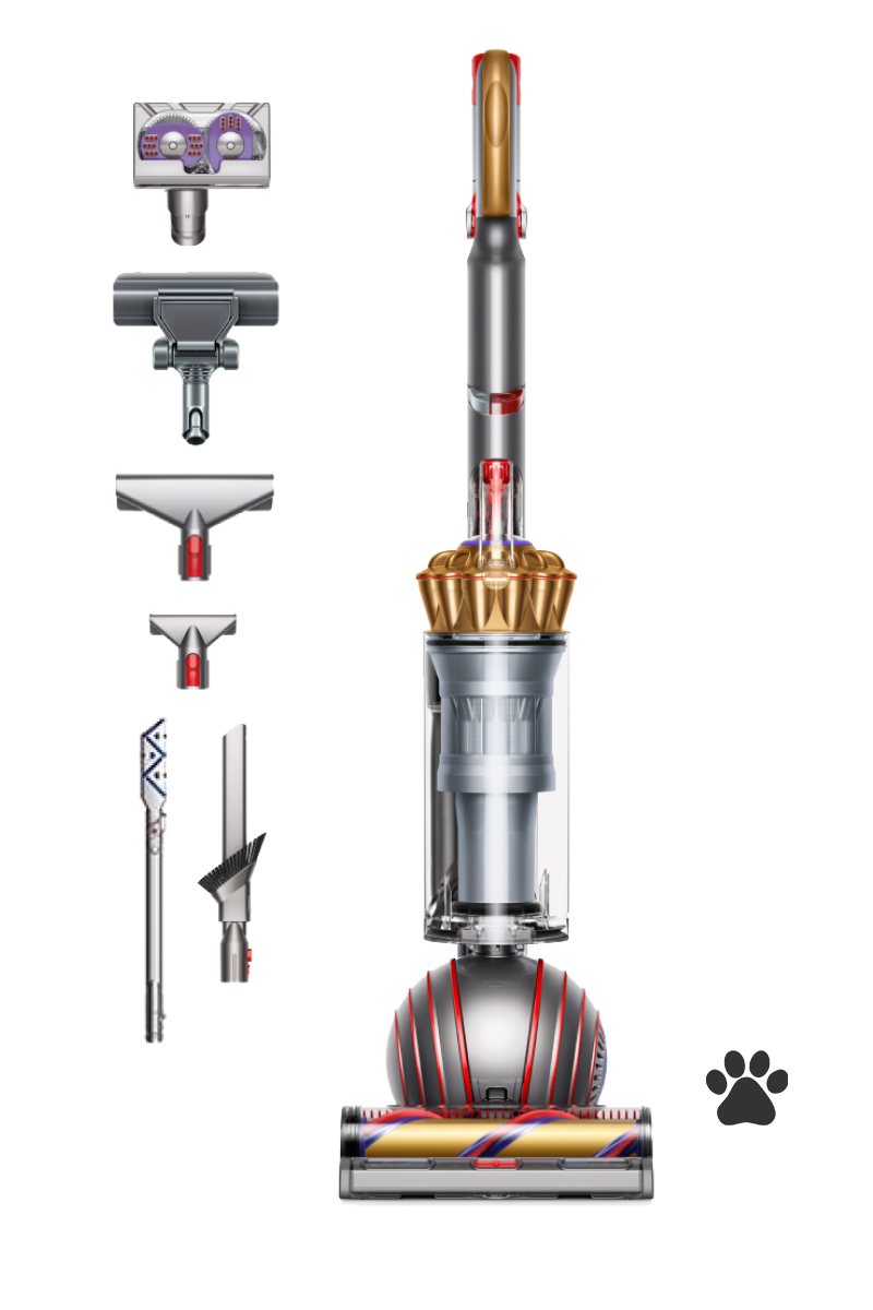 Dyson Ball™ Animal Complete (Gold)