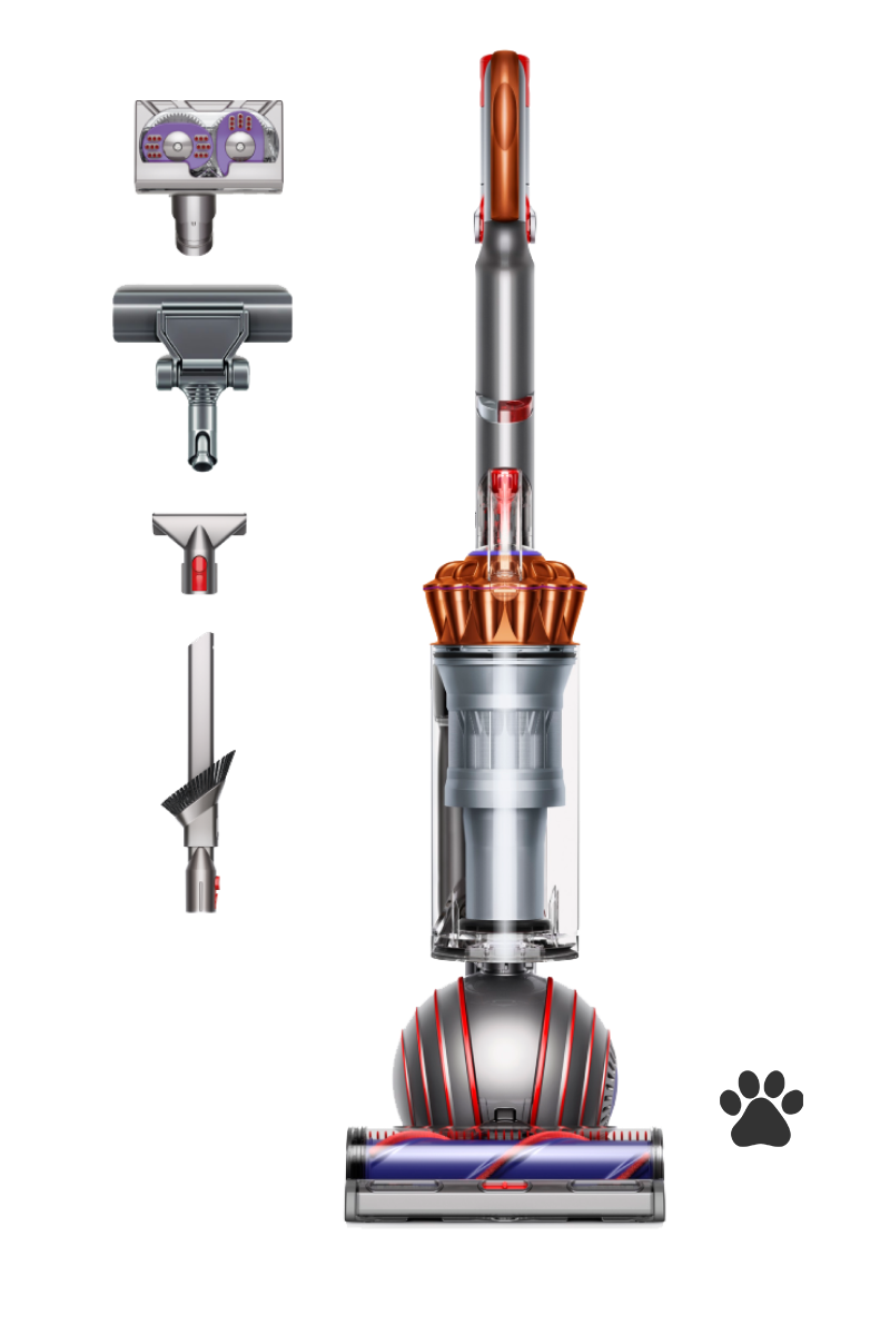 Dyson Ball™ Animal Multifloor