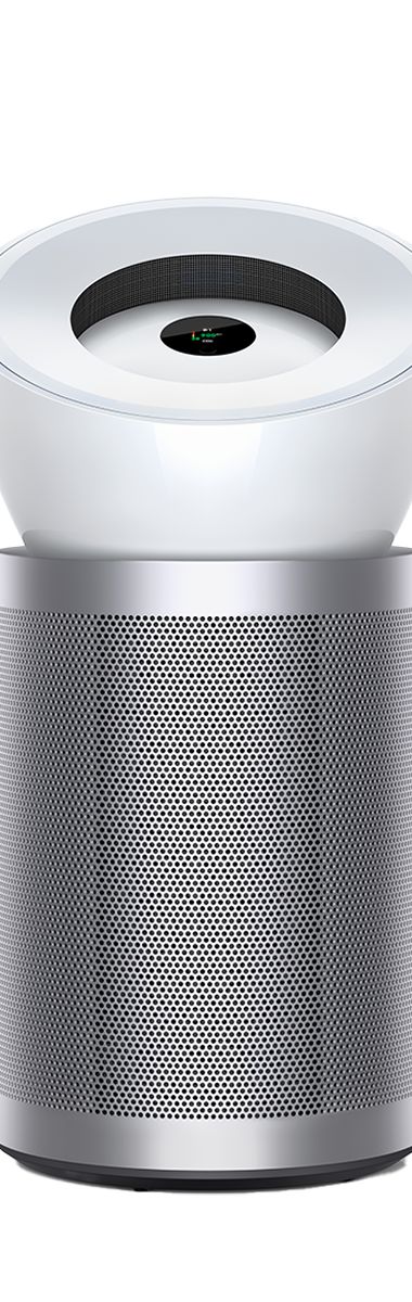 Dyson BP06
