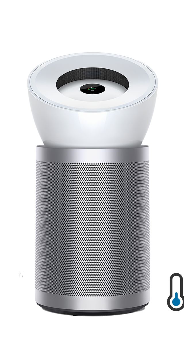 Dyson BP06