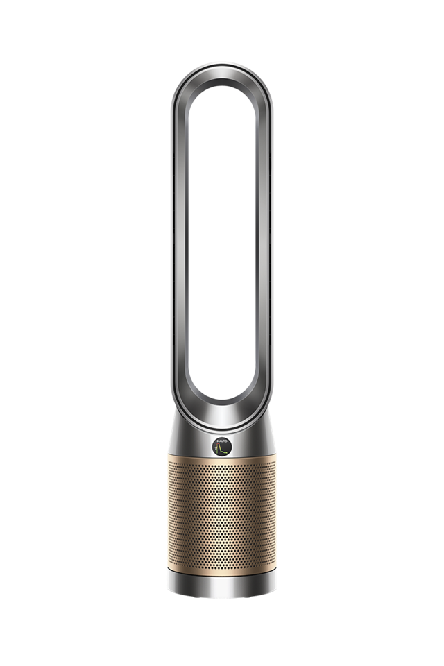 Dyson Purifier Cool PC2 De-Nox reviews