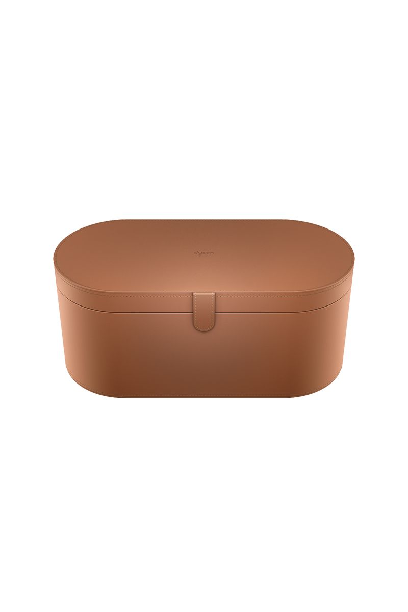 Dyson Large case