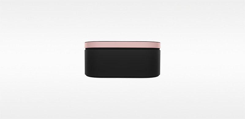 Presentation case