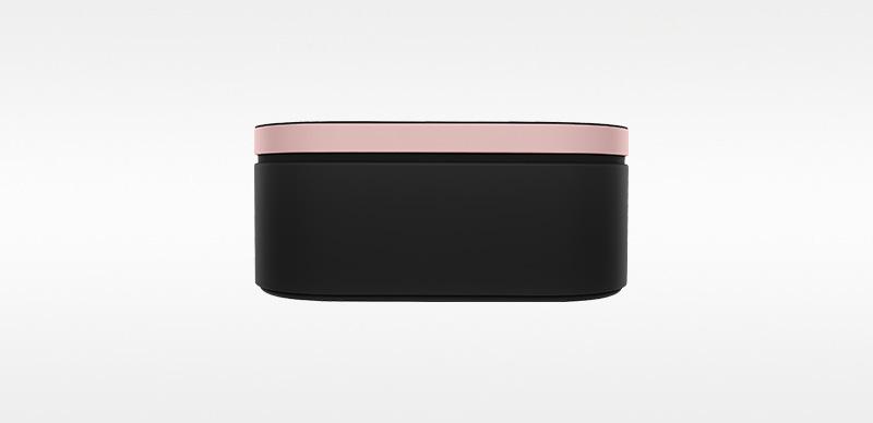 Presentation case