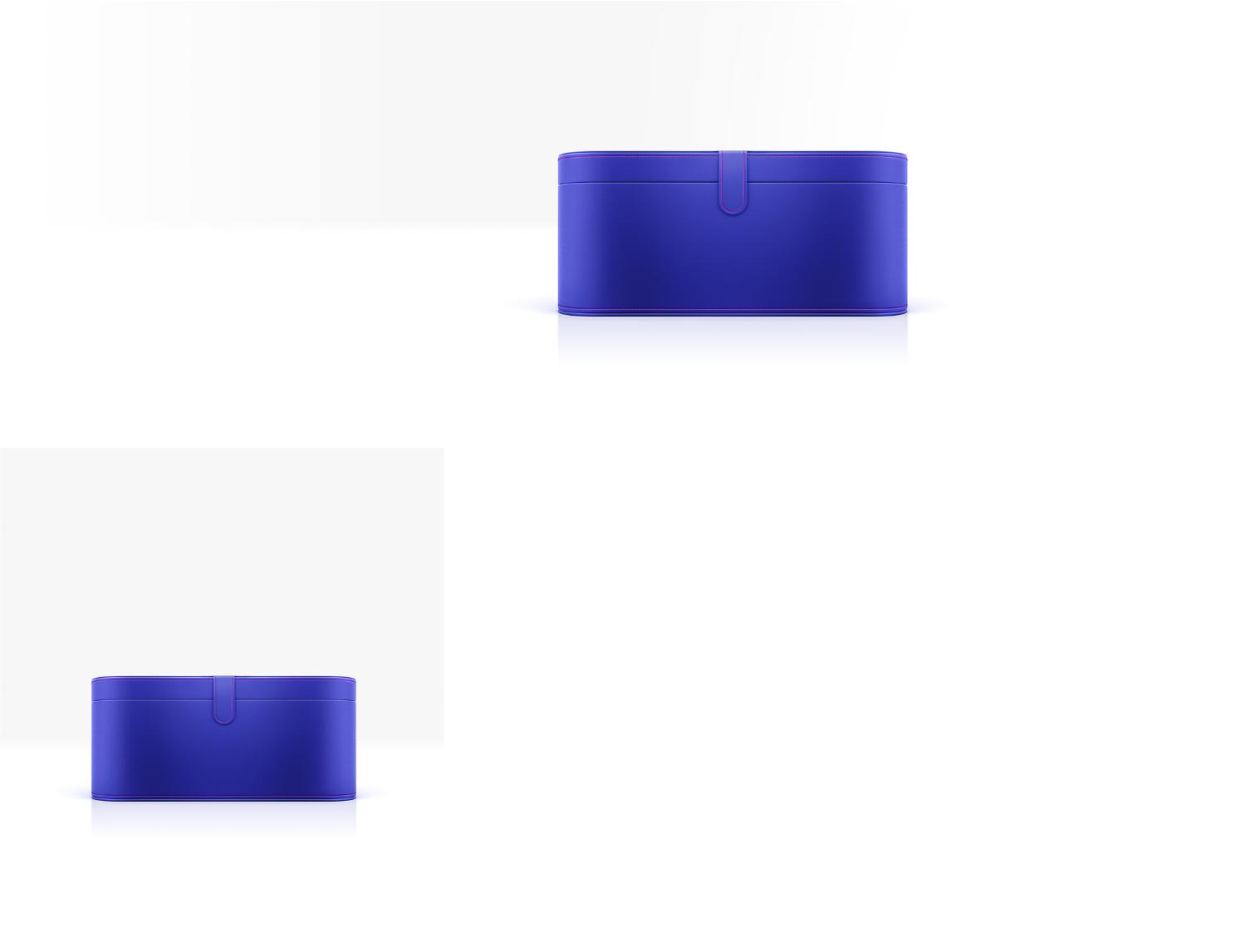 Presentation case