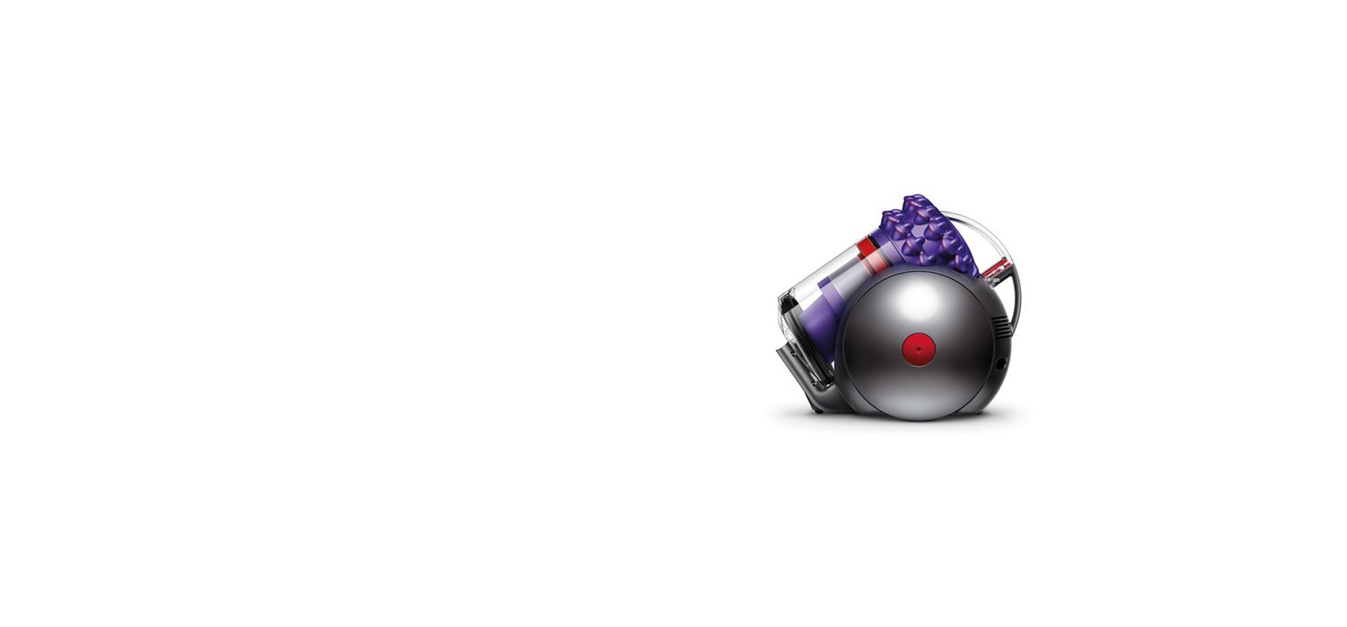 Filtre aspirateur 2025 dyson big ball