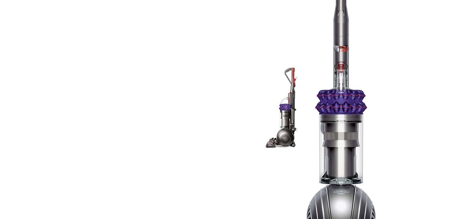 dyson cinetic animal