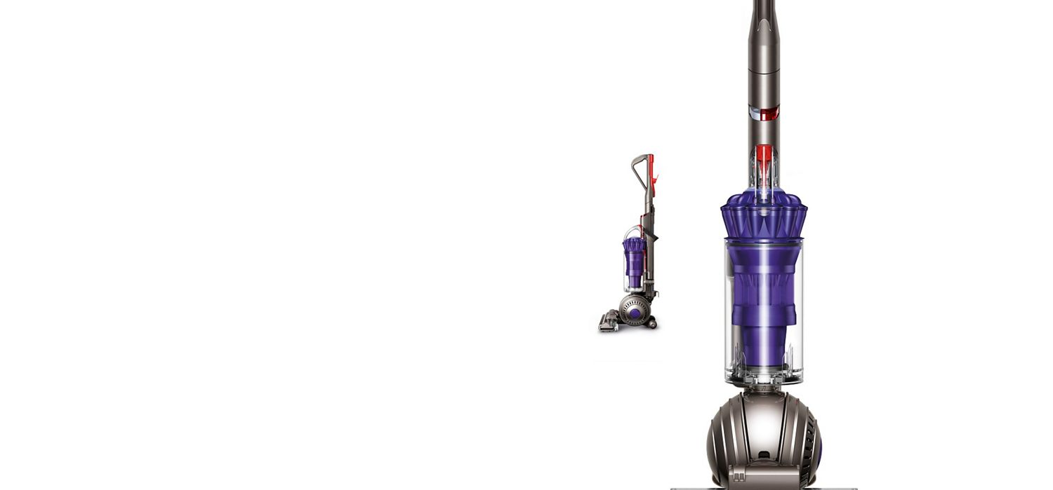 DC40 Animal Complete vacuum (Iron/Bright Silver/Satin Rich