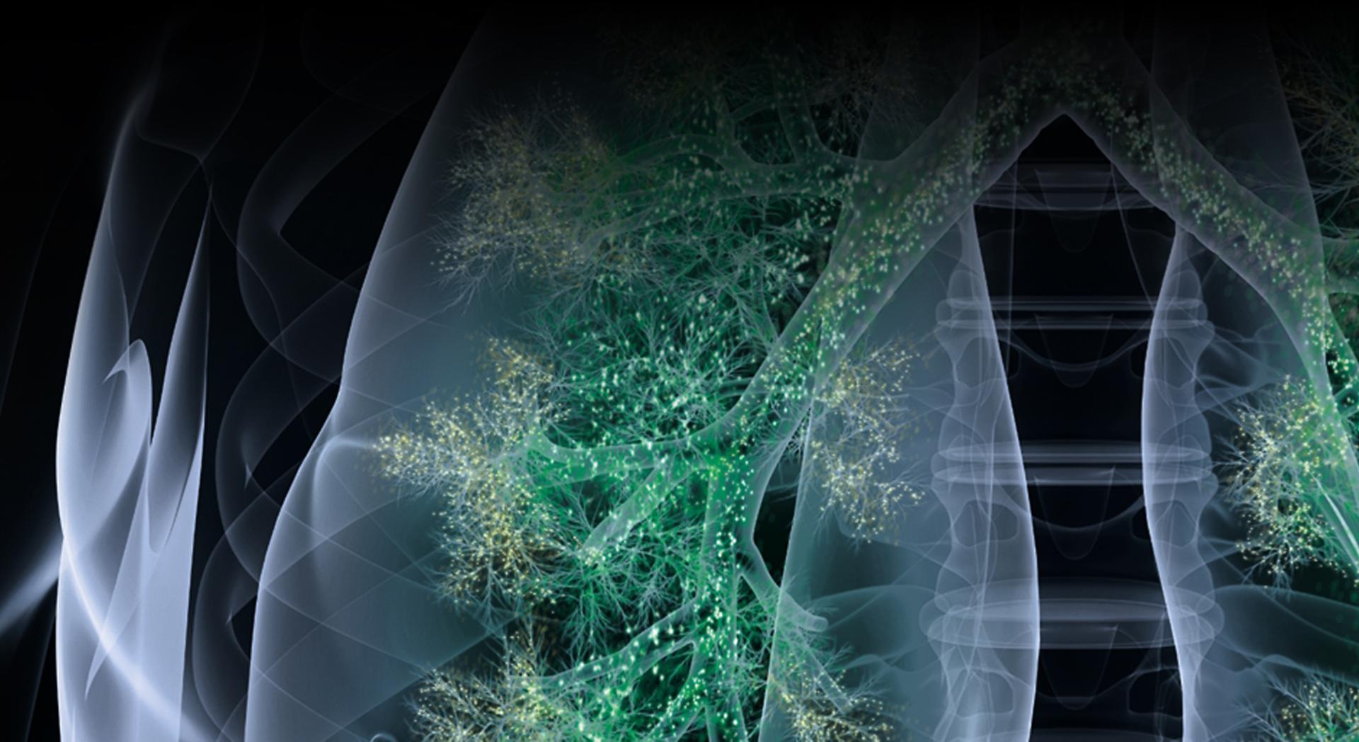 X-ray image of how air pollutants affect your lungs