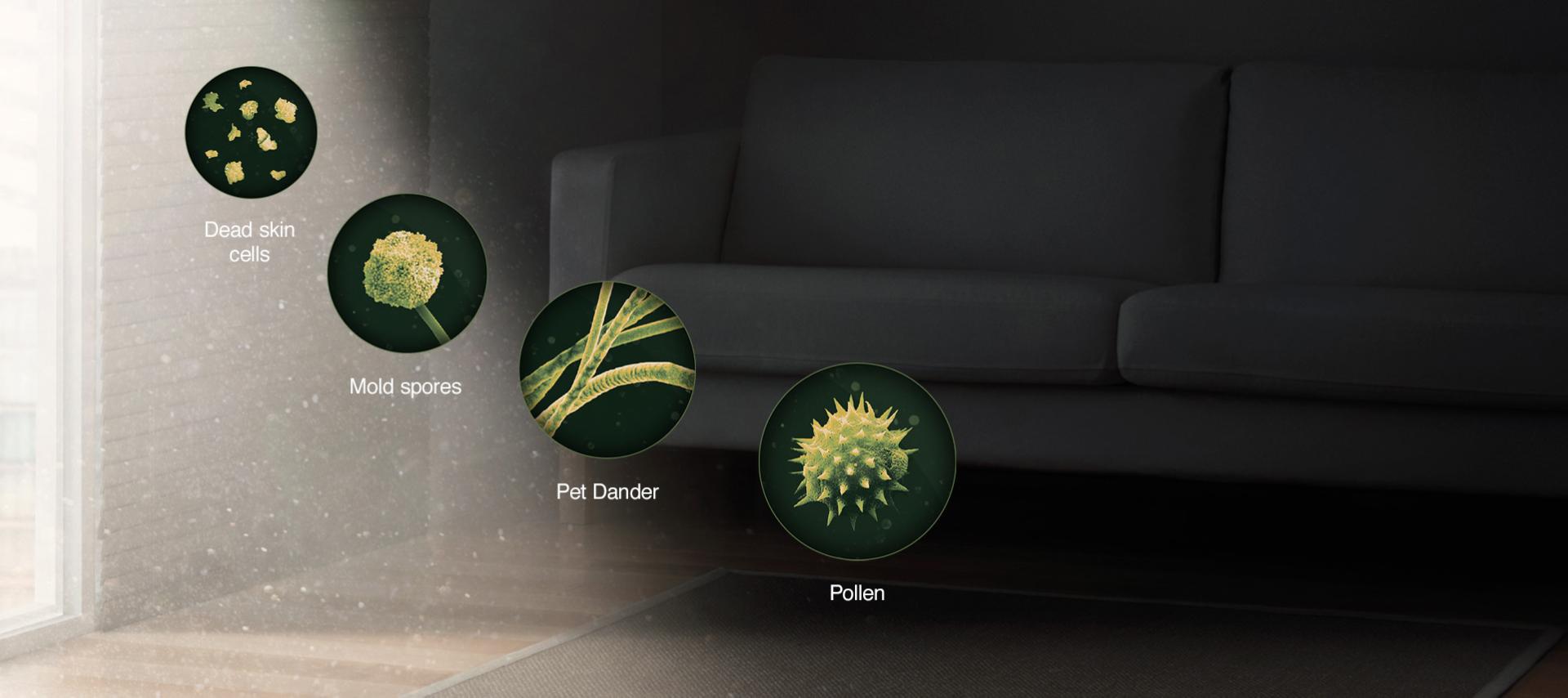 Images of different bacteria/pollutants and allergens found around the home