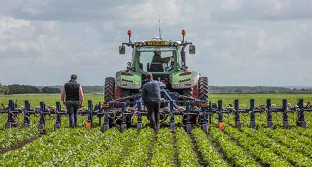 농업을 시작하다