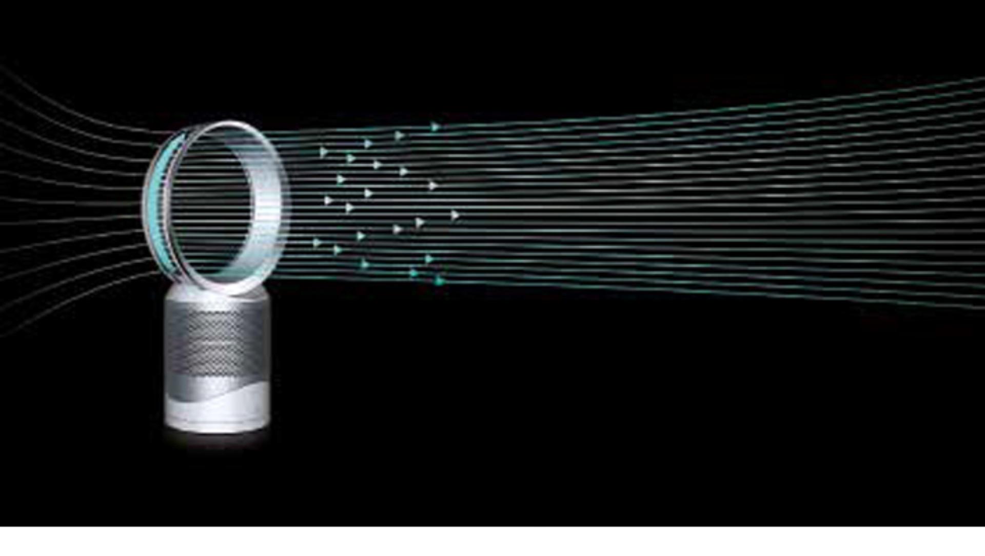 집 안 공기를 정화하기 시작하다