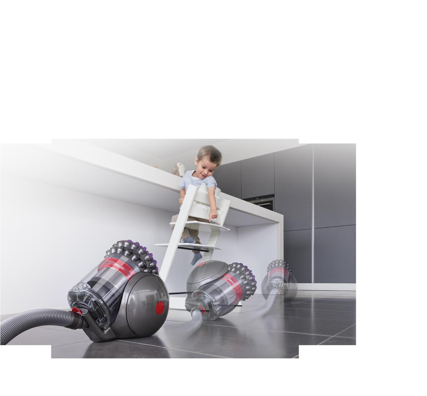 Dyson big ball animal 2