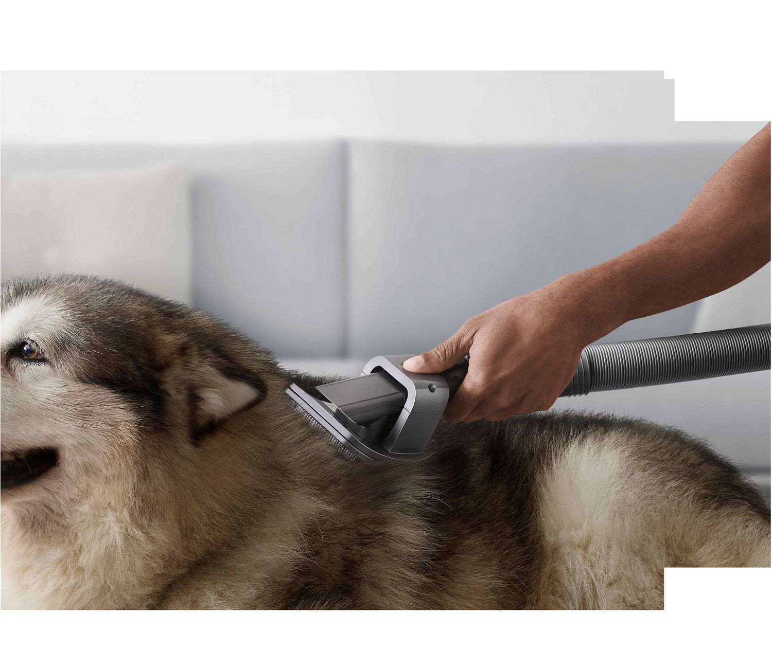 Dyson Micro 1.5kg being used on flooring