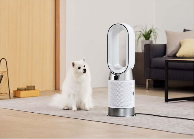 Dyson Purifier Hot+Cool 空気清浄ファンヒーター シルバー／ブルー 