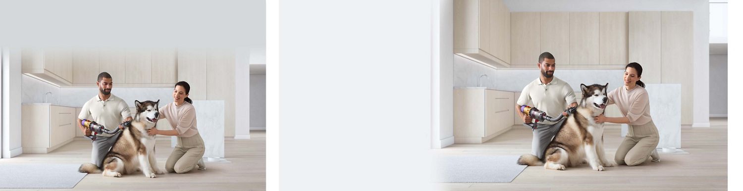 ペットグルーミングツールで犬をブラッシングします