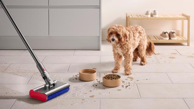 다이슨 서브마린 물 청소 헤드가 청소하는 동안 사료 그릇과 물그릇을 쳐다보는 반려견의 모습.