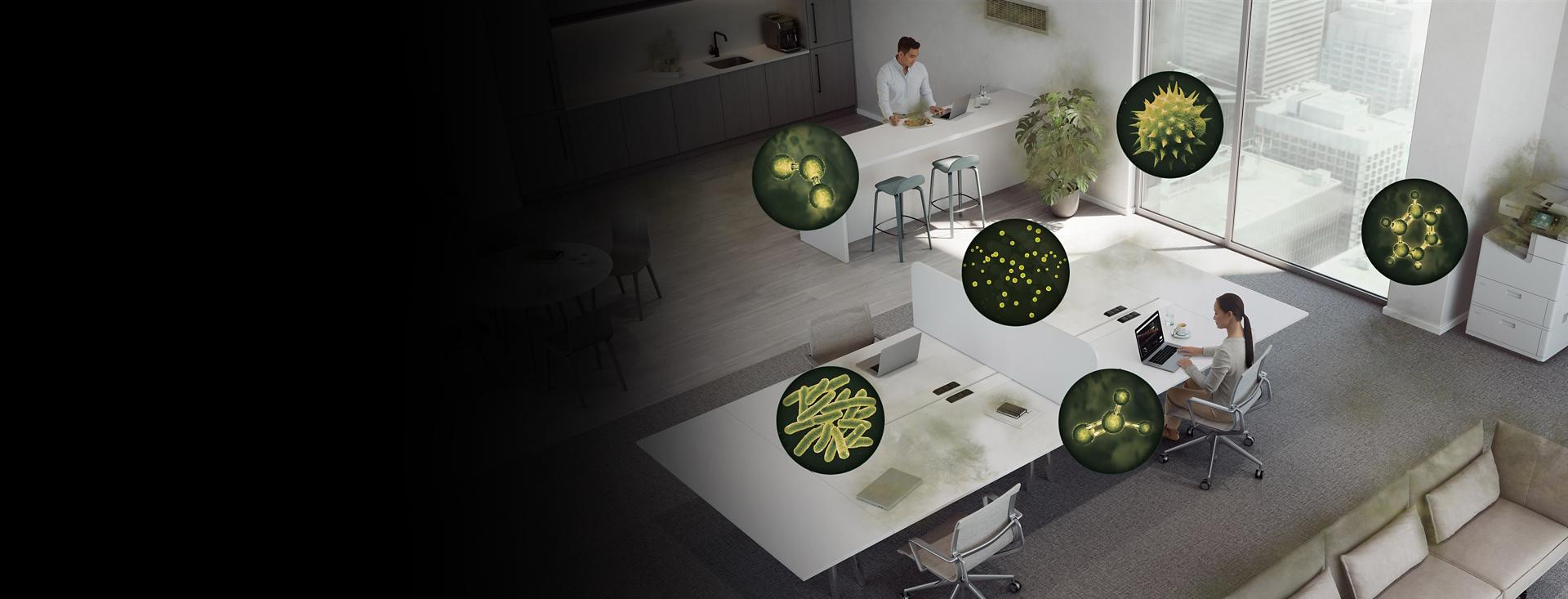 A large living space and the sources of various pollutants.