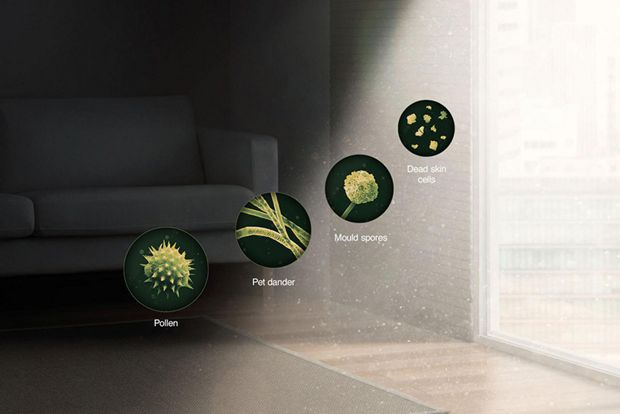 Seasonal Allergies: Causes & Prevention Tips 