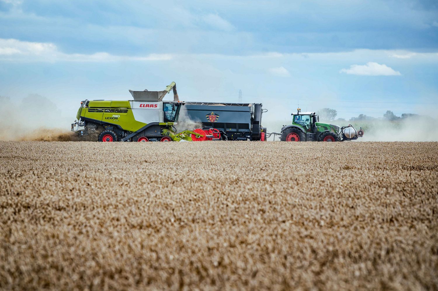 Så hanterar du pollenallergi