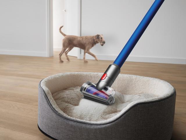  | Creature comfort: Dyson engineers reveal the best cleaning  regime for pets